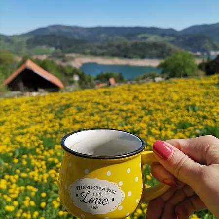 Konaci Zaovljanska Jezera Zaovine