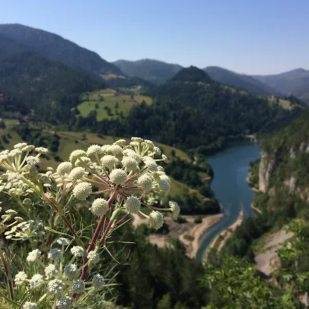 Konaci Zaovljanska Jezera Zaovine