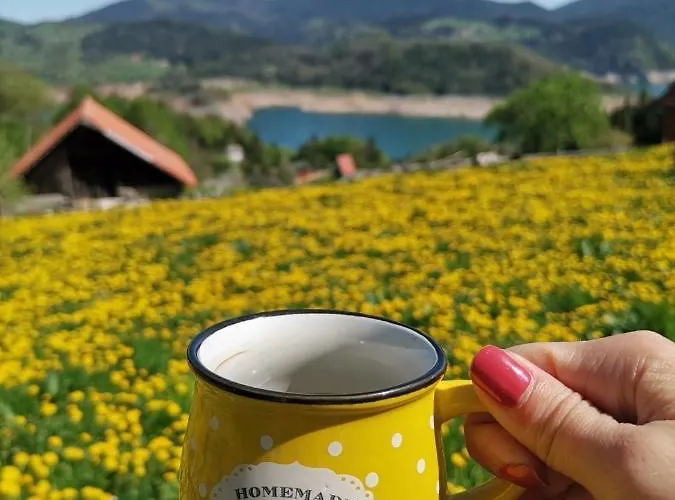 Konaci Zaovljanska Jezera Zaovine