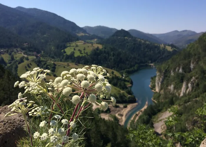 Konaci Zaovljanska Jezera Zaovine